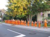 AA1A26C5-C2F9-4505-84F1-D4A7E4D2EF8B - พระมหาคองเขน สิริจันโท.jpeg